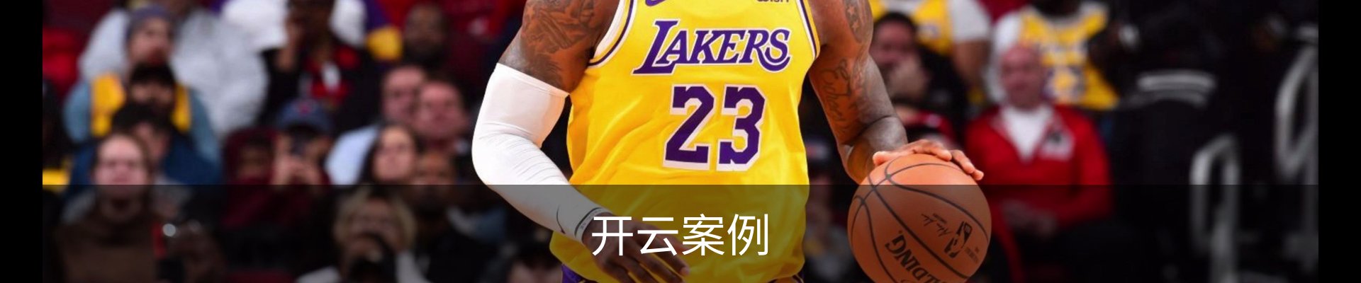 开云案例